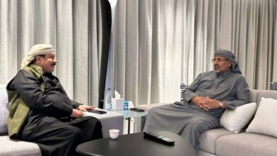 محمد بن زايد ورئيس وزراء باكستان يبحثان علاقات التعاون والقضايا الإقليمية والدولية